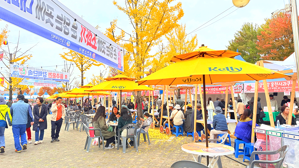 홍천사과축제