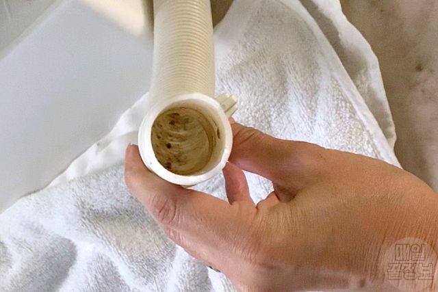 세탁기 배수호스 청소, 곰팡이 냄새 제거, 팁줌