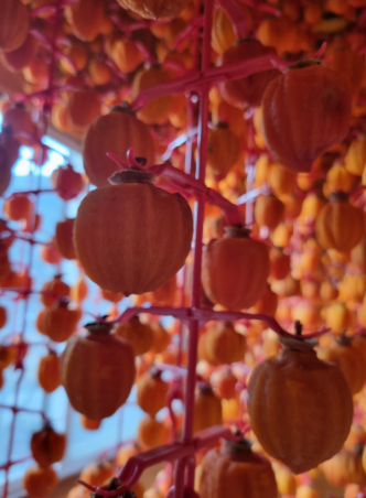 카페 해영 곶감