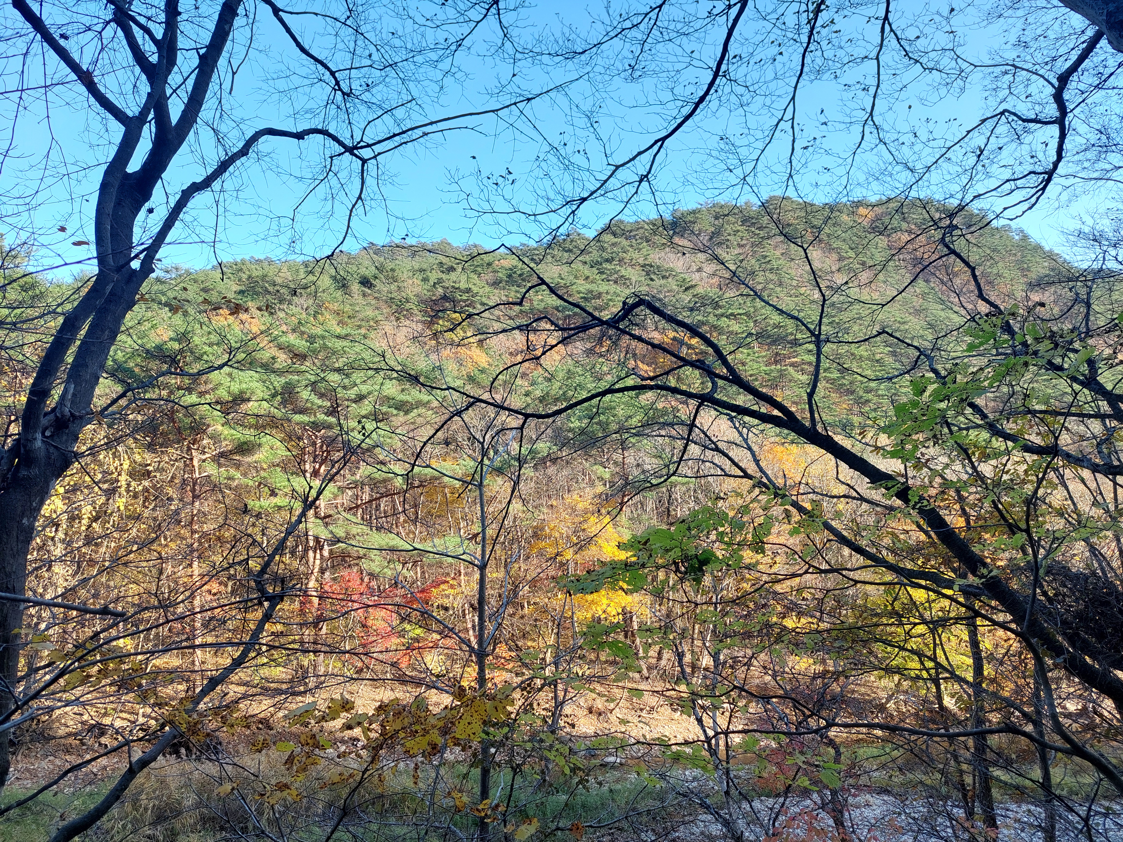 주왕산