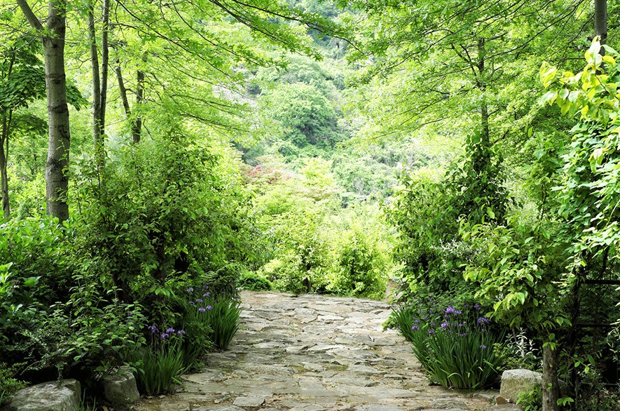 고성 그레이스 정원