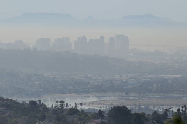 집에 두면 좋은 공기 정화 식물 베스트 10
