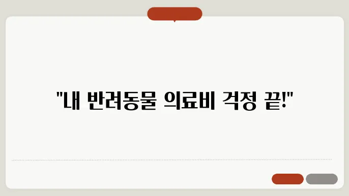 펫보험 가입 꿀팁과 주의사항