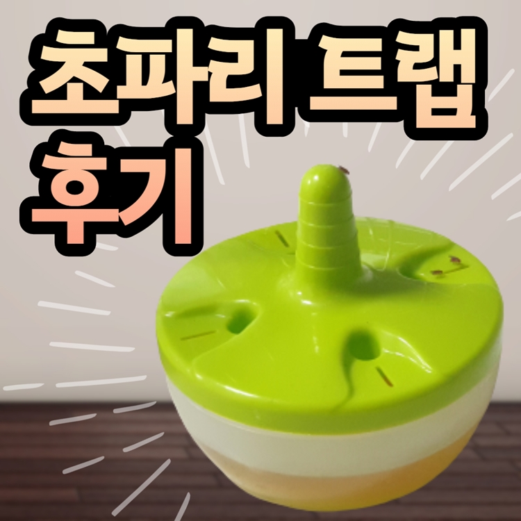 초파리트랩 후기