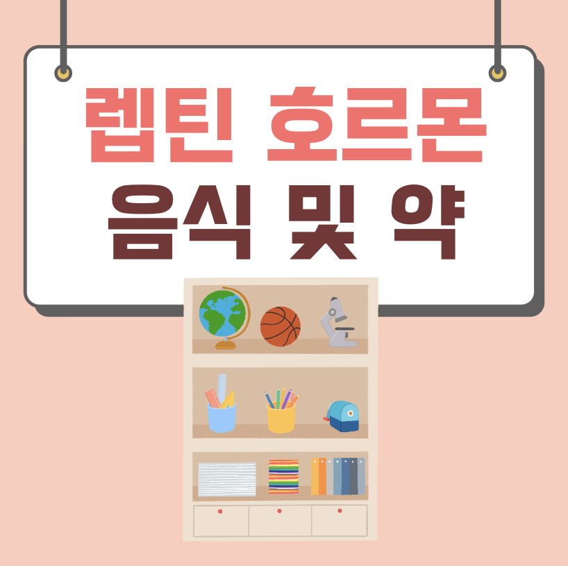 렙틴 호르몬 음식 약 그렐린 저항성 분비 영양제 수면시간 효능