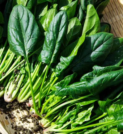 고혈압에-좋은-음식-건강