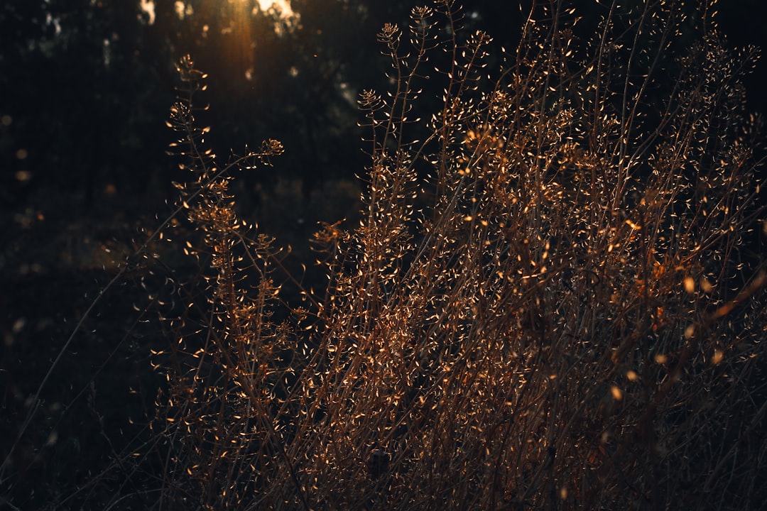 Expiration
