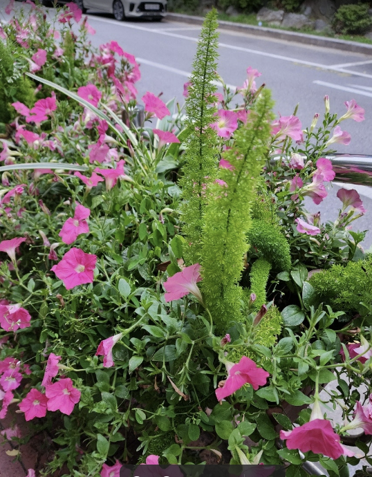 Alt 속성 문제 해결 설명 이미지