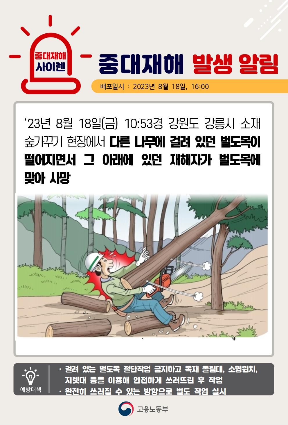 나무에 걸려있던 벌도목이 떨어지면서 맞음