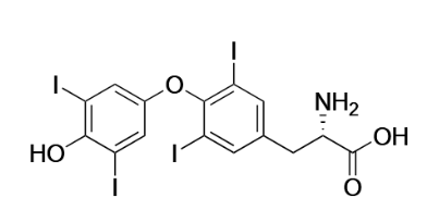 티록신 화학구조