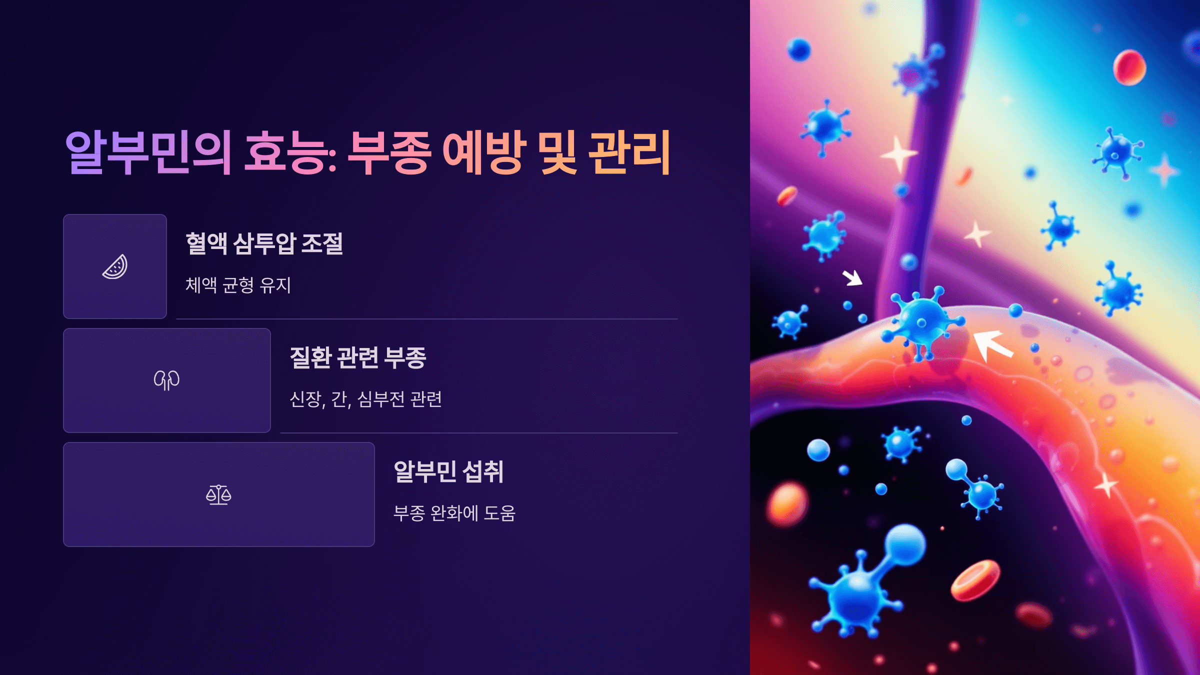 알부민과 관련된 사진입니다.