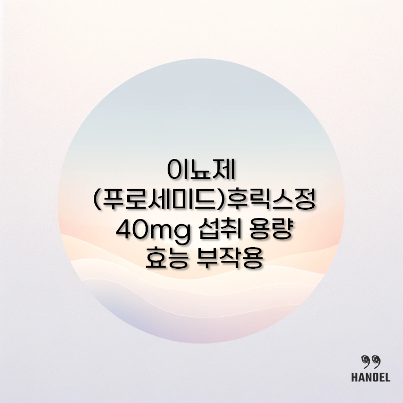후릭스정