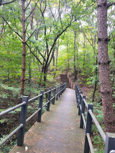 국립 용현자연휴양림 산책로