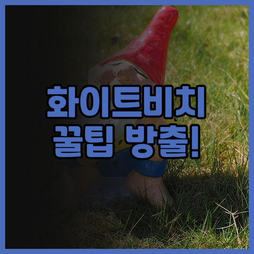 화이트비치펜션 완벽 분석 후기 추천 