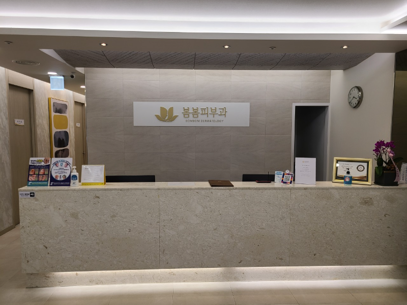 송파구 가락1동 피부과 유명한 곳 모공 레이저 잘하는 곳 추천 TOP 5