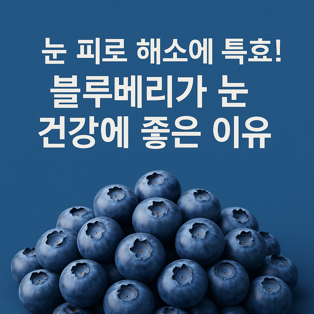 눈 피로 해소에 특효! 블루베리가 눈 건강에 좋은 이유