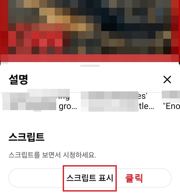 화면 아래에 스크립트 표시 메뉴 보임