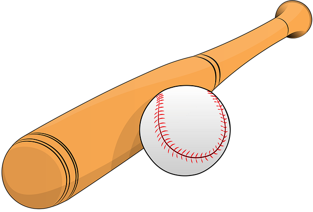 2025 KBO 리그 순위 경쟁 총정리