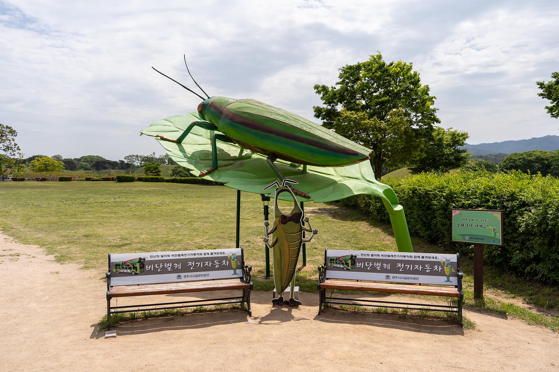 비단벌레 포토존