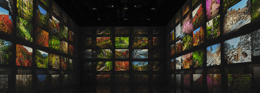 2025 화담숲 예약 방법