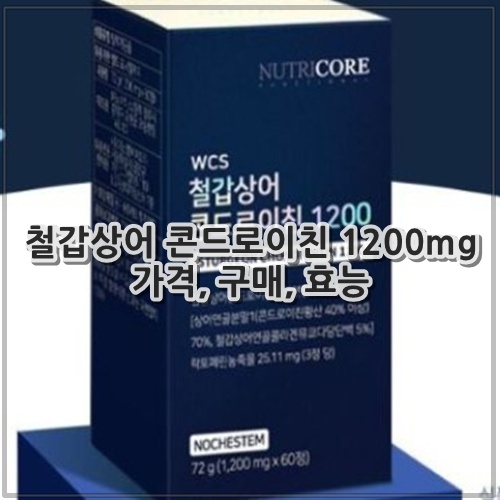 철갑상어 콘드로이친 1200mg 가격, 구매, 효능