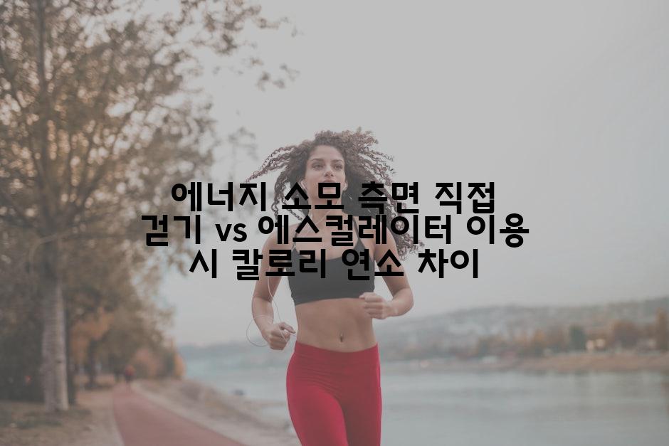 에너지 소모 측면 직접 걷기 vs 에스컬레이터 이용 시 칼로리 연소 차이
