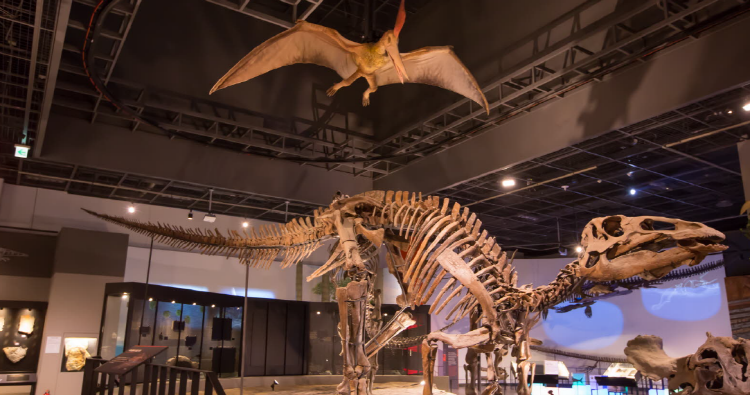 국립과천과학관