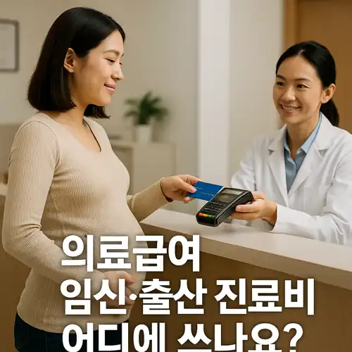 의료급여 임신.출산 진료비 사용처