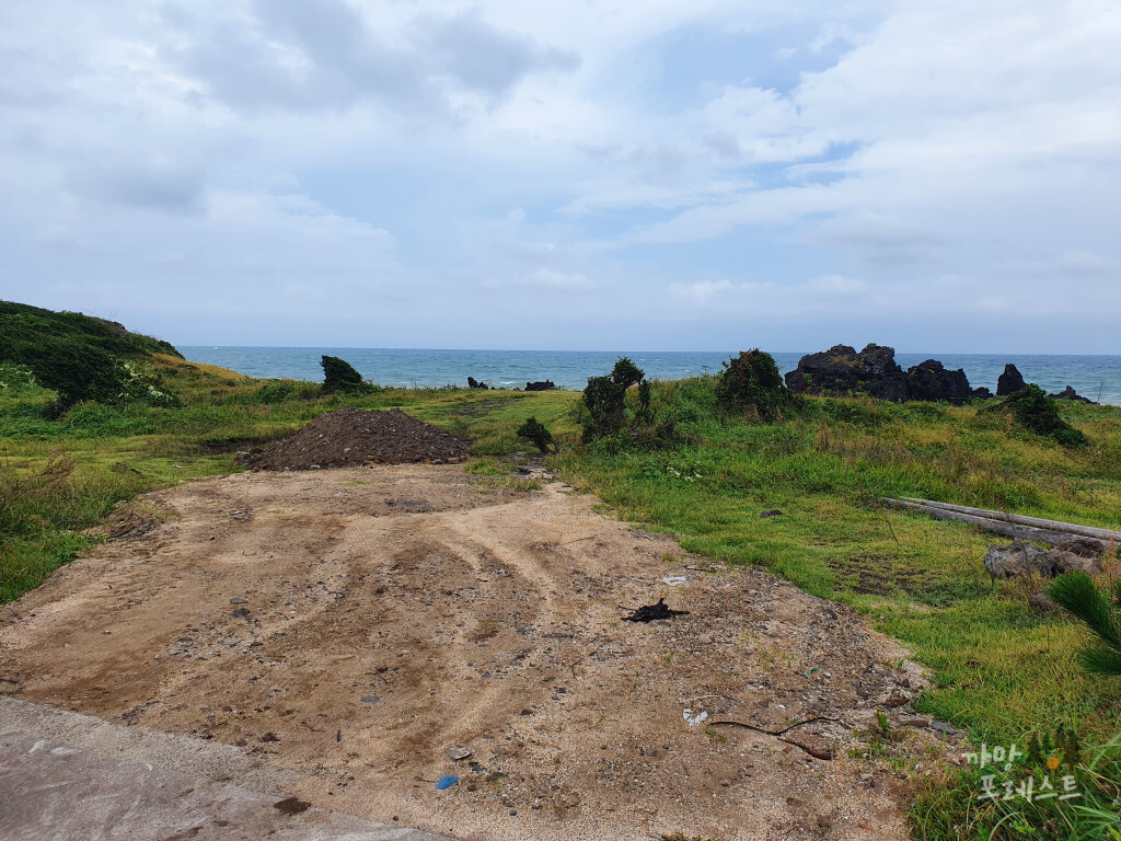 제주 고망난 돌 주차