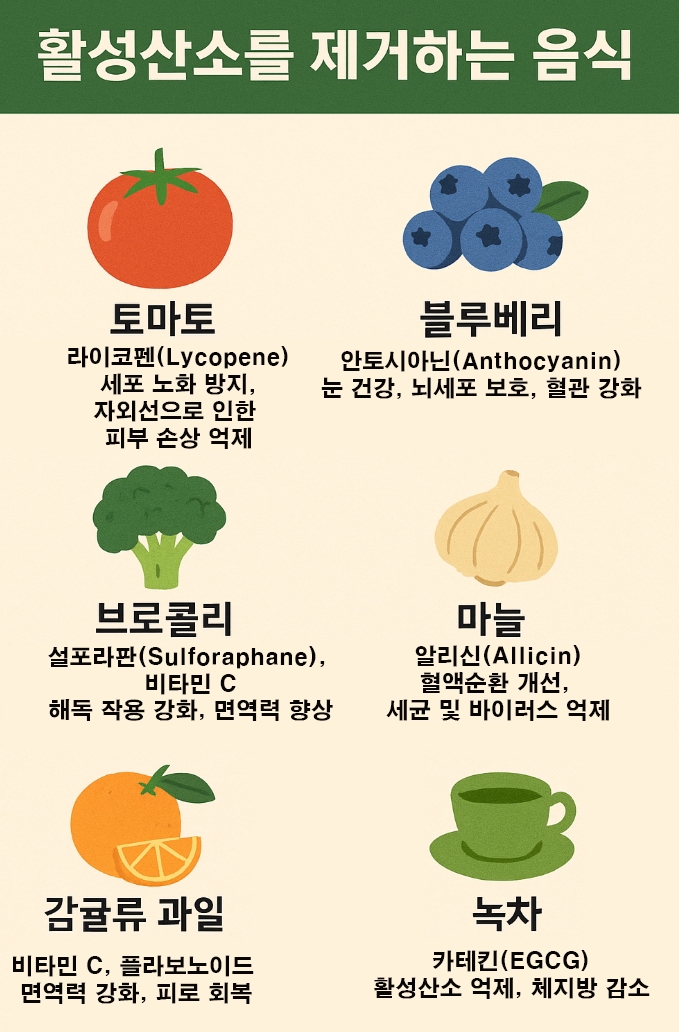 활성산소를 제거하는 음식