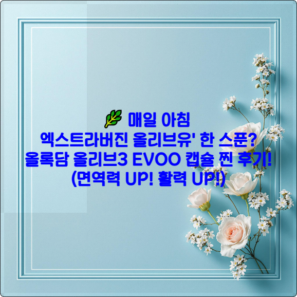 🌿 매일 아침 '엑스트라버진 올리브유' 한 스푼? 올록담 올리브3 EVOO 캡슐 찐 후기! (면역력 UP! 활력 UP!)