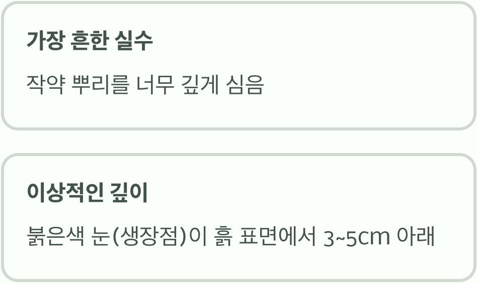 원인 하나: 너무 깊은 잠&amp;#44; 잘못된 심기 깊이