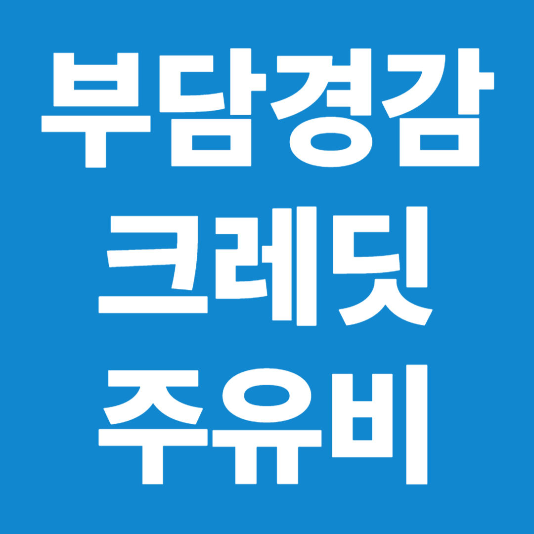 부담경감 크레딧 주유비