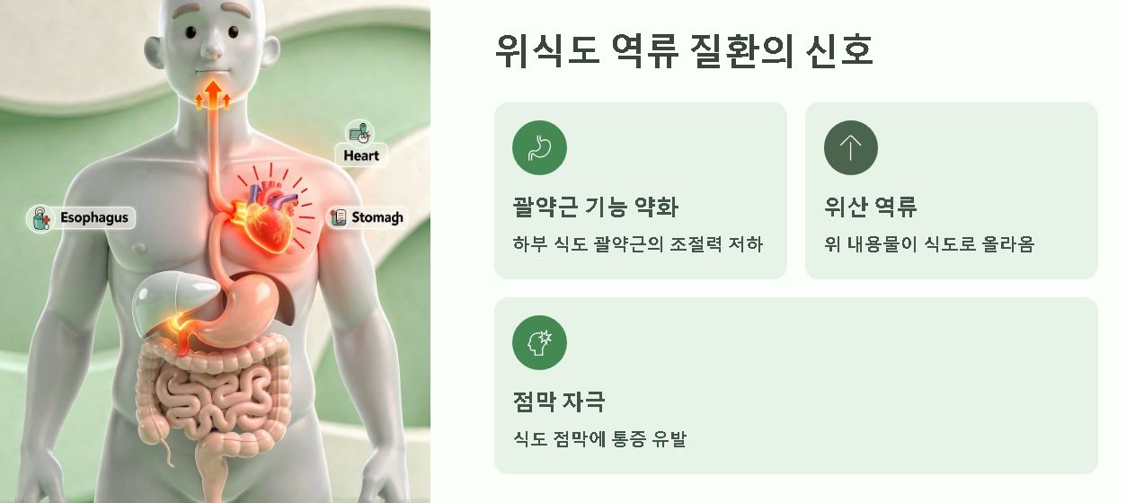 트림이 자주 나오는 이유 알아보기