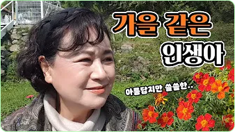 박원숙 박원숙의 같이 삽시다 시즌3, 나이, 재방송, 남해 카페, 프로필, 아들,고향, 가족, 드라마