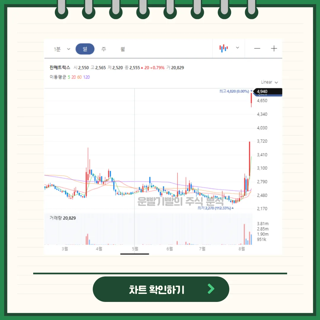 진매트릭스 차트분석