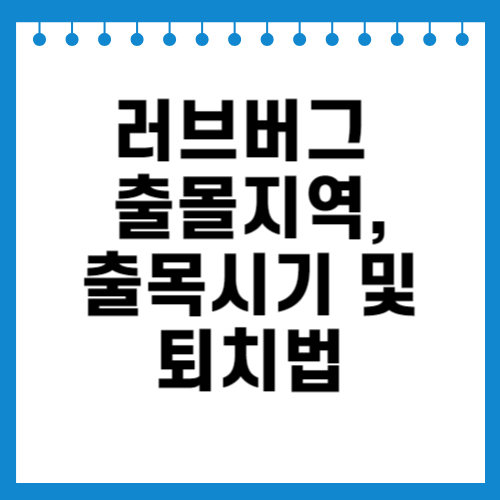 러브버그 출몰지역,출목시기 및 퇴치법 관련이미지