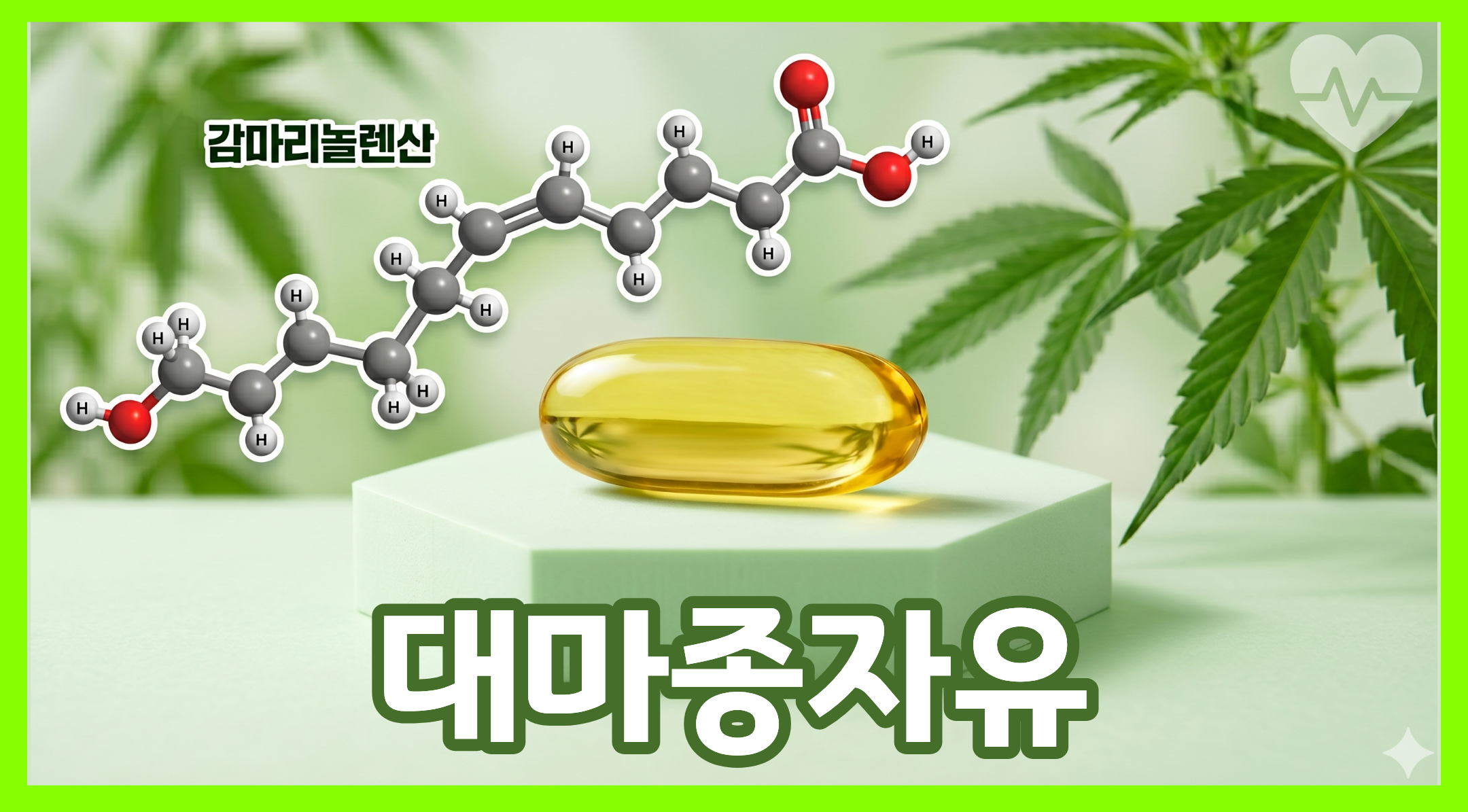 대마종자유의 핵심성분인 감마리놀렌산 분자구조와 대마종자유가 담긴 캡슐 이미지