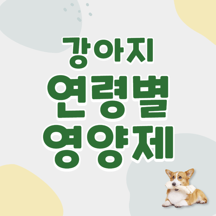 강아지영양제