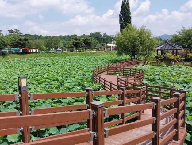 성주 가볼만한곳 베스트 10