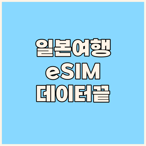 일본 여행 필수품 eSIM 데이터 걱