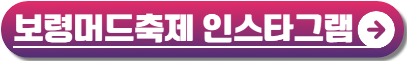 보령머드축제