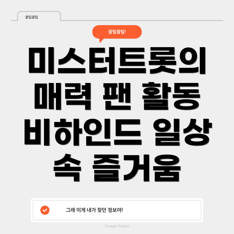 미스터트롯 팬 활동