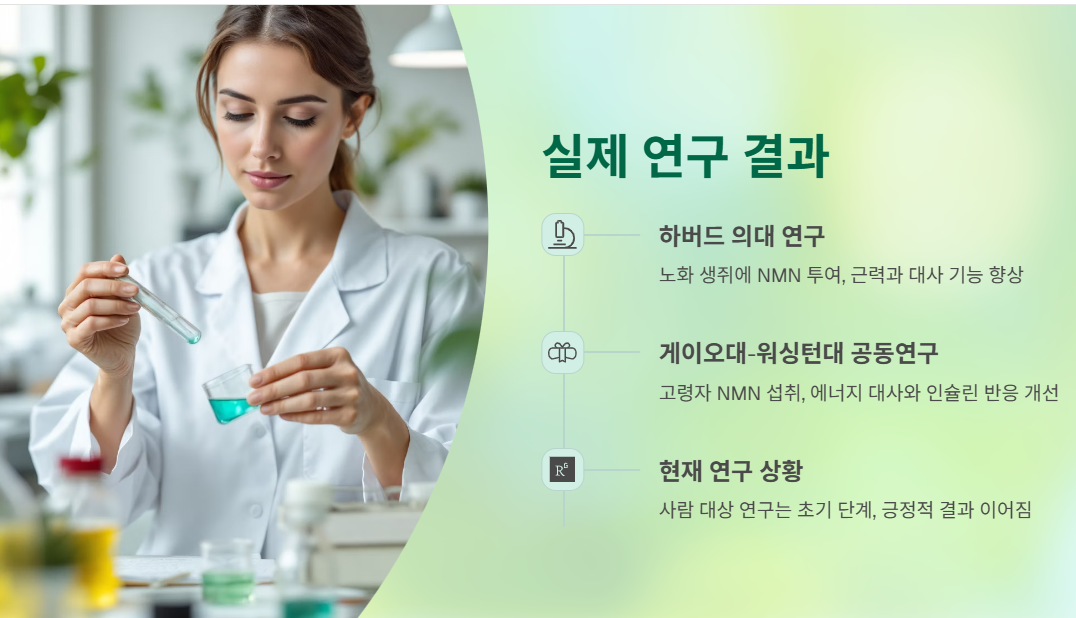 실제 연구 결과