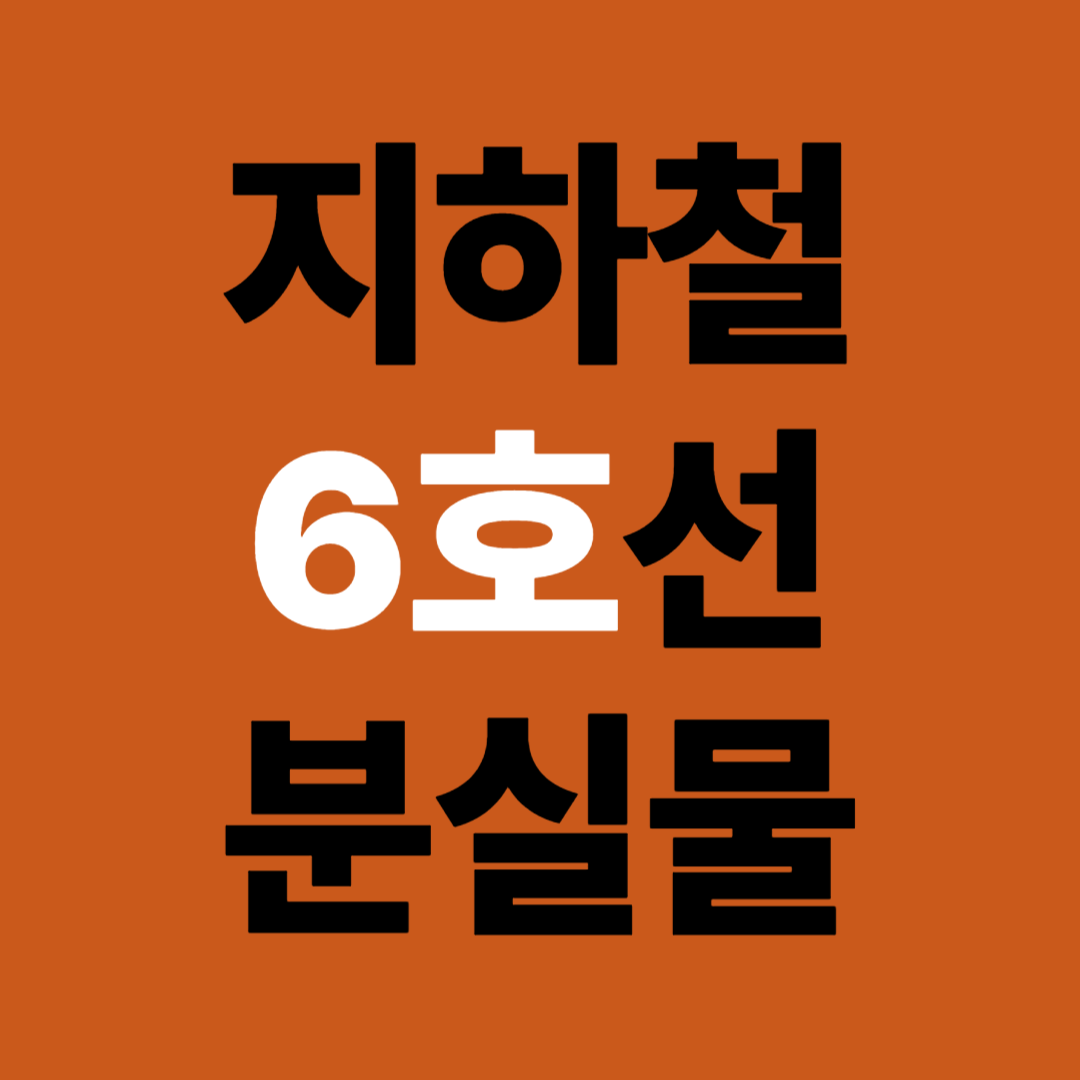 서울 지하철 6호선 분실물 유실물신고 접수