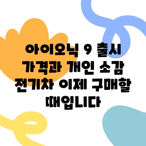 아이오닉 9 출시 가격과 개인 소감 전기차 이제 구매할 때입니다