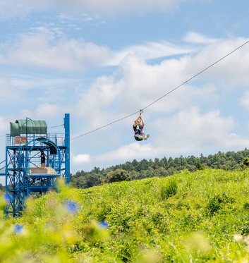 제주투어패스 구매&#44; 예약&#44; 사용방법