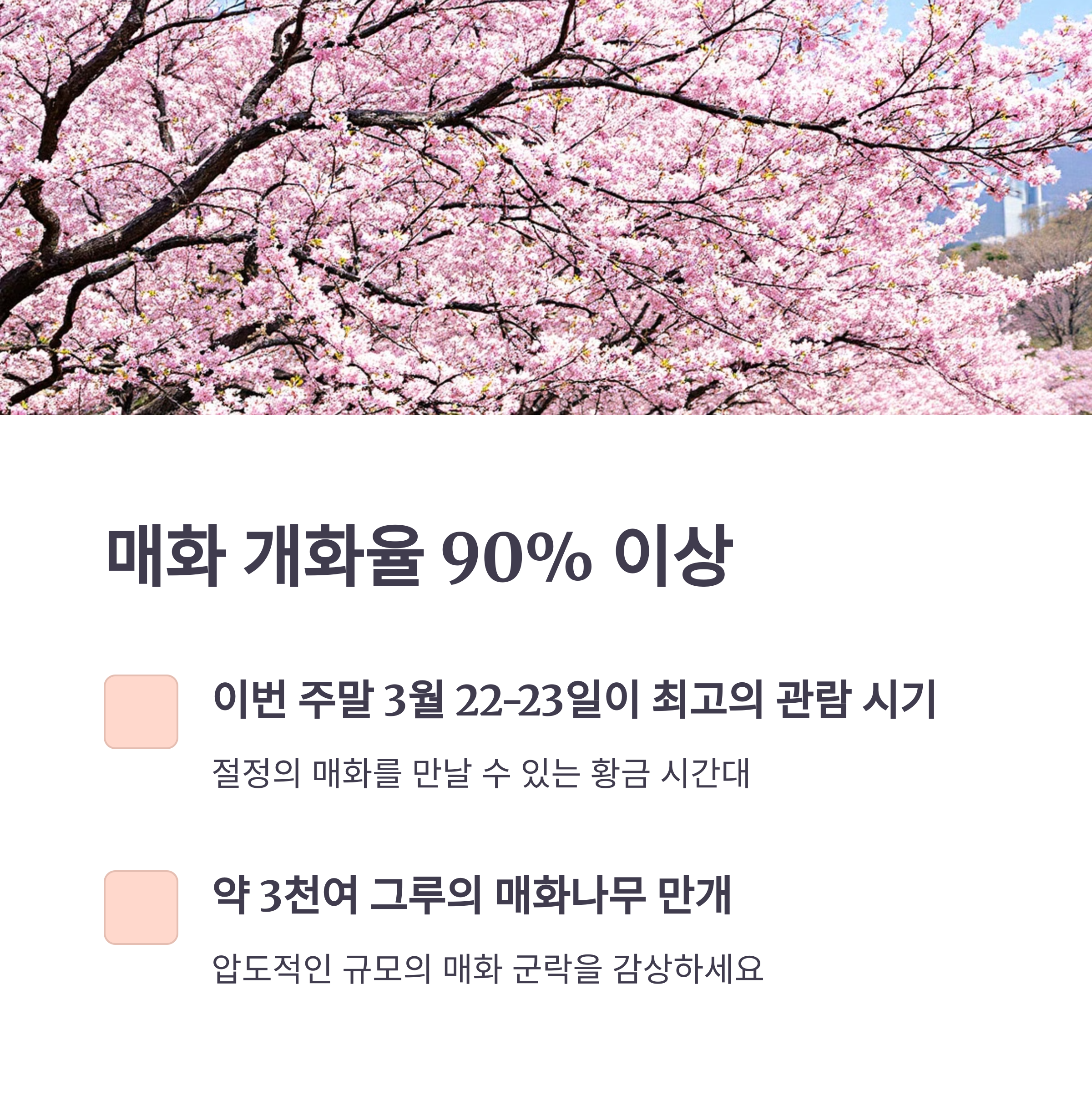 부산 기장매화원
