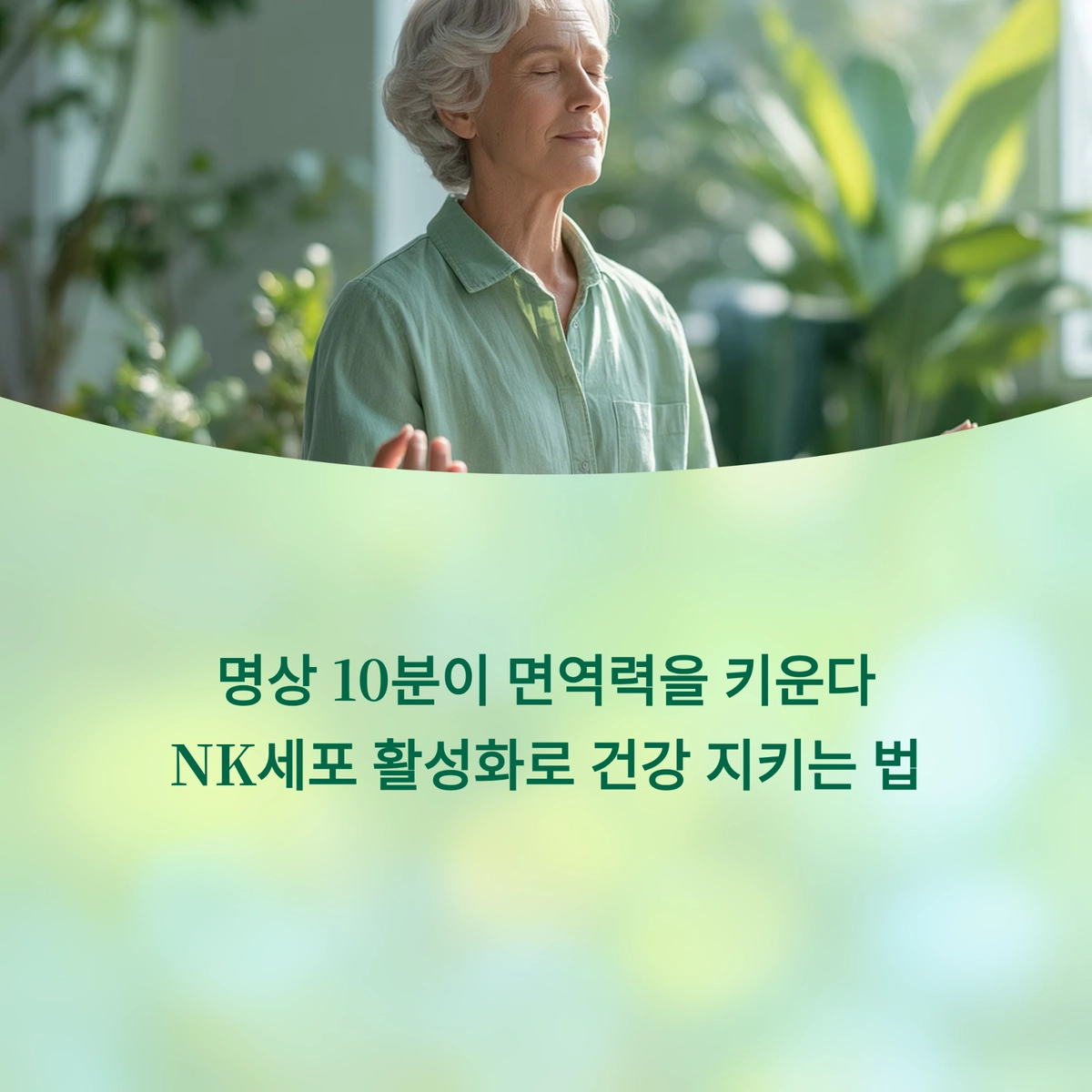 명상 10분으로 면역력과 NK세포 활성화를 높이는 건강 대표 이미지