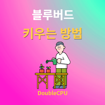 블루버드 키우기